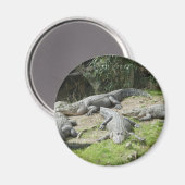 Een dag in de dierentuin #3 Magnet (Voorkant / Achterkant)