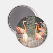 Een dag in de Zoo Magnet (Voorkant / Achterkant)