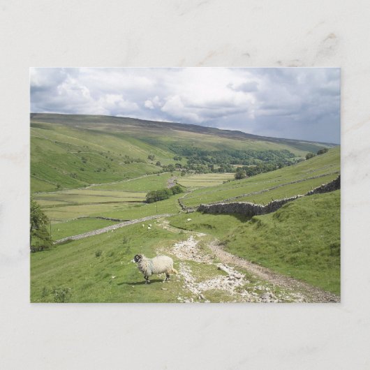 Een dag in het collectie Yorkshire Dales Briefkaart (Voorkant)