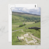 Een dag in het collectie Yorkshire Dales Briefkaart (Voorkant / Achterkant)