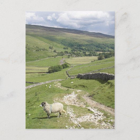 Een dag in het collectie Yorkshire Dales Briefkaart (Voorkant)
