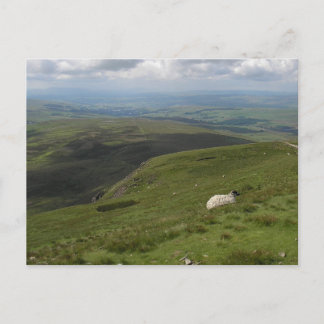Een dag in het collectie Yorkshire Dales Briefkaart