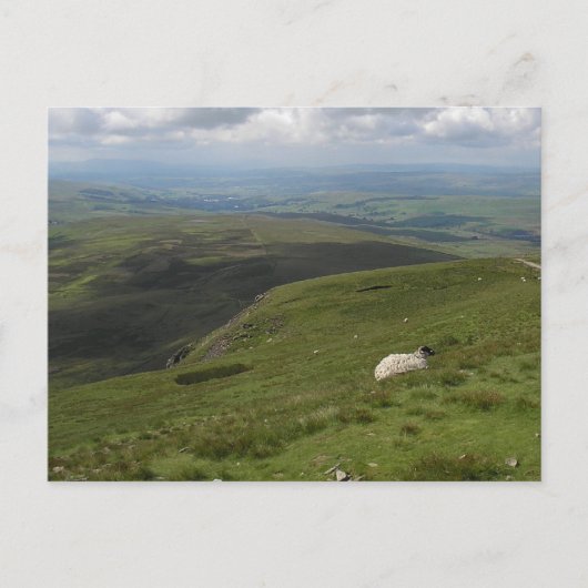 Een dag in het collectie Yorkshire Dales Briefkaart (Voorkant)