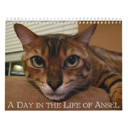 Een Dag in het leven van de Kalender van Ansel - 1 (Hoes)