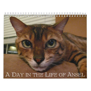 Een Dag in het leven van de Kalender van Ansel - 1