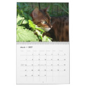 Een Dag in het leven van de Kalender van Ansel - 1 (Mar 2027)