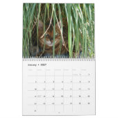 Een Dag in het leven van de Kalender van Ansel - 1 (Jan 2027)