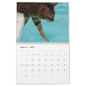 Een Dag in het leven van de Kalender van Ansel - 1 (Feb 2027)