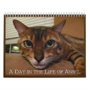 Een Dag in het leven van de Kalender van Ansel - 2