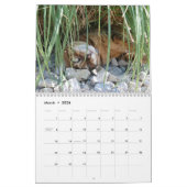 Een Dag in het leven van de Kalender van Ansel - 2 (Mar 2026)