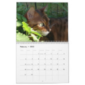 Een Dag in het leven van de Kalender van Ansel - 2 (Feb 2022)