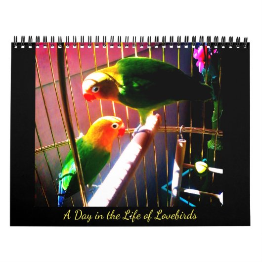 Een dag in het leven van de vogels kalender (Hoes)