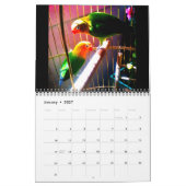Een dag in het leven van de vogels kalender (Jan 2027)