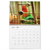 Een dag in het leven van de vogels kalender (Mar 2027)