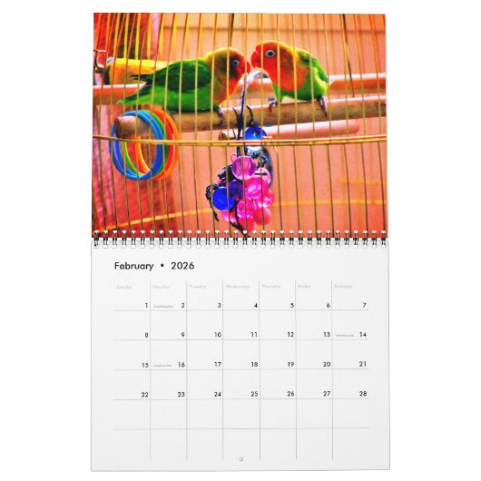 Een dag in het leven van de vogels kalender (Feb 2026)