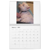 Een dag in het leven van Ruby - De kunst van het A Kalender (Feb 2027)