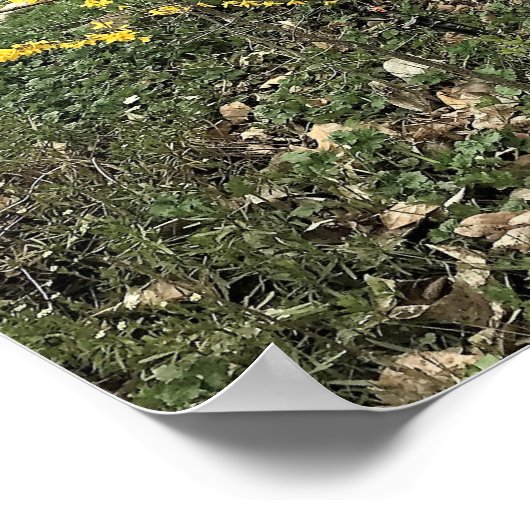 Een dag in het Park Poster (Hoek)