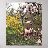 Een dag in het Park Poster (Voorkant)