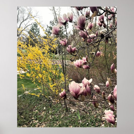 Een dag in het Park Poster (Voorkant)