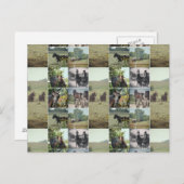 Een dag in Kalona, Iowa Briefkaart (Voorkant / Achterkant)