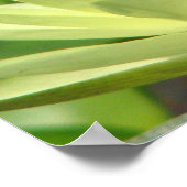 Een dag op de Pond-reeks Poster (Hoek)