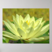 Een dag op de Pond-reeks Poster (Voorkant)