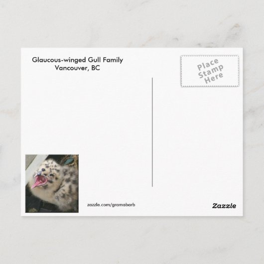 Een dag oud Briefkaart kippen (Achterkant)