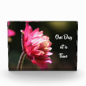 Eén dag per keer prijsdaling in zonlicht fotoblokken (Voorkant)