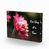 Eén dag per keer prijsdaling in zonlicht fotoblokken (Rechts)