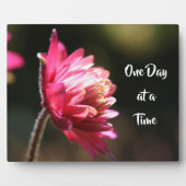 Eén dag per keer prijsdaling in zonlicht fotoplaat (Voorkant)