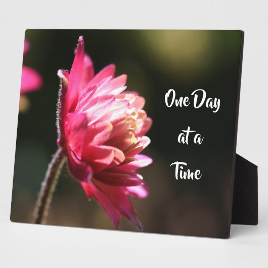 Eén dag per keer prijsdaling in zonlicht fotoplaat (Zijkant)