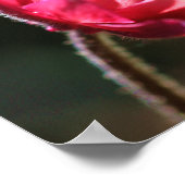 Eén dag per keer prijsdaling in zonlicht poster (Hoek)