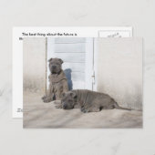 Een dag tegelijk... briefkaart (Voorkant / Achterkant)