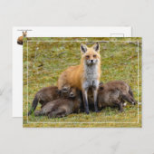 Een dag van mama briefkaart (Voorkant / Achterkant)