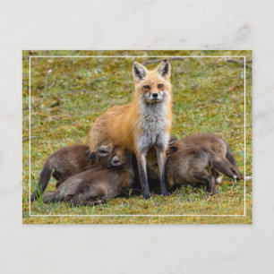 Een dag van mama briefkaart