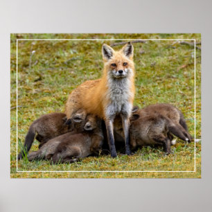 Een dag van mama poster