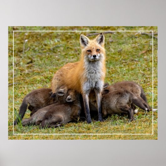 Een dag van mama poster (Voorkant)