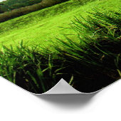 een dag weer een blik poster (Hoek)