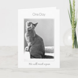 "Één Dag zullen wij" opnieuw kattensympathie Kaart