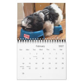 Een dagelijkse dosis Panda Kalender (Feb 2027)