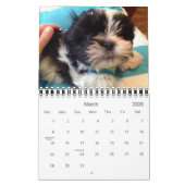 Een dagelijkse dosis Panda Kalender (Mar 2026)