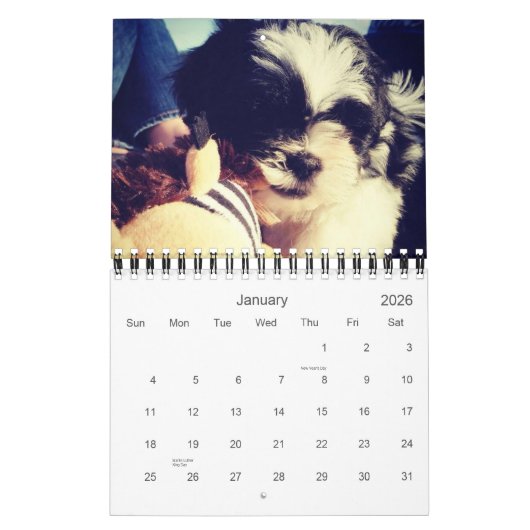 Een dagelijkse dosis Panda Kalender (Jan 2026)