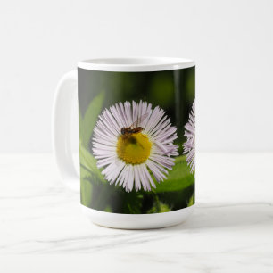 Een daisy fleabane bloem en een bij koffiemok