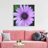 Een Daisy voor jou! Canvas Afdruk (Insitu (Woonkamer))