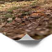 Een dakdekker uit Wiltshire 1892 Poster (Hoek)