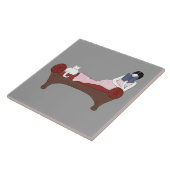 Een dame, een kat en een zeer goede boekenkast tegeltje (Zijkant)