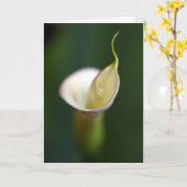 Een dame in wit kaart (Gele Bloem)