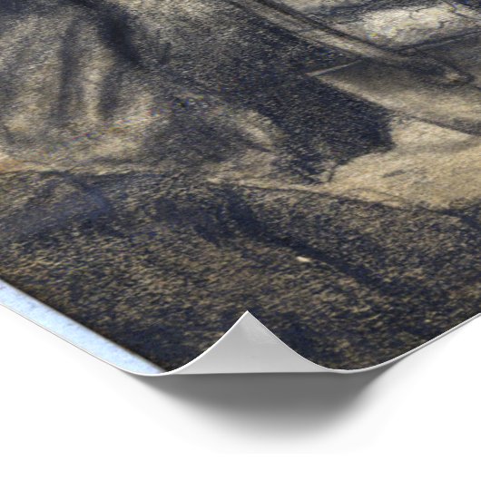 Een dankbare tip van het pet poster (Hoek)