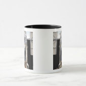 Een deel van de Hubble Ruimtetelescoop Mok (Midden)