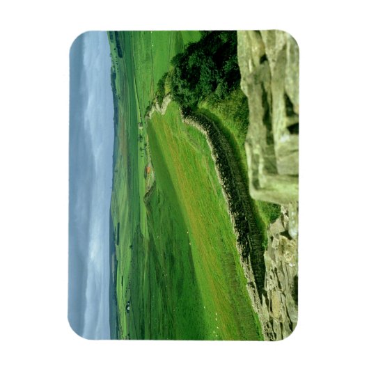 Een deel van de muur van Hadrian, 2e eeuw AD (stee Magneet (Verticaal)